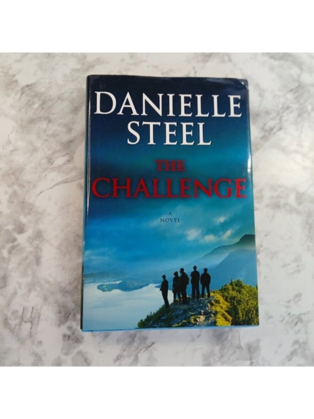 The Challenge – Danielle Steel Hardcover Novel Good Condition Contemporary Drama